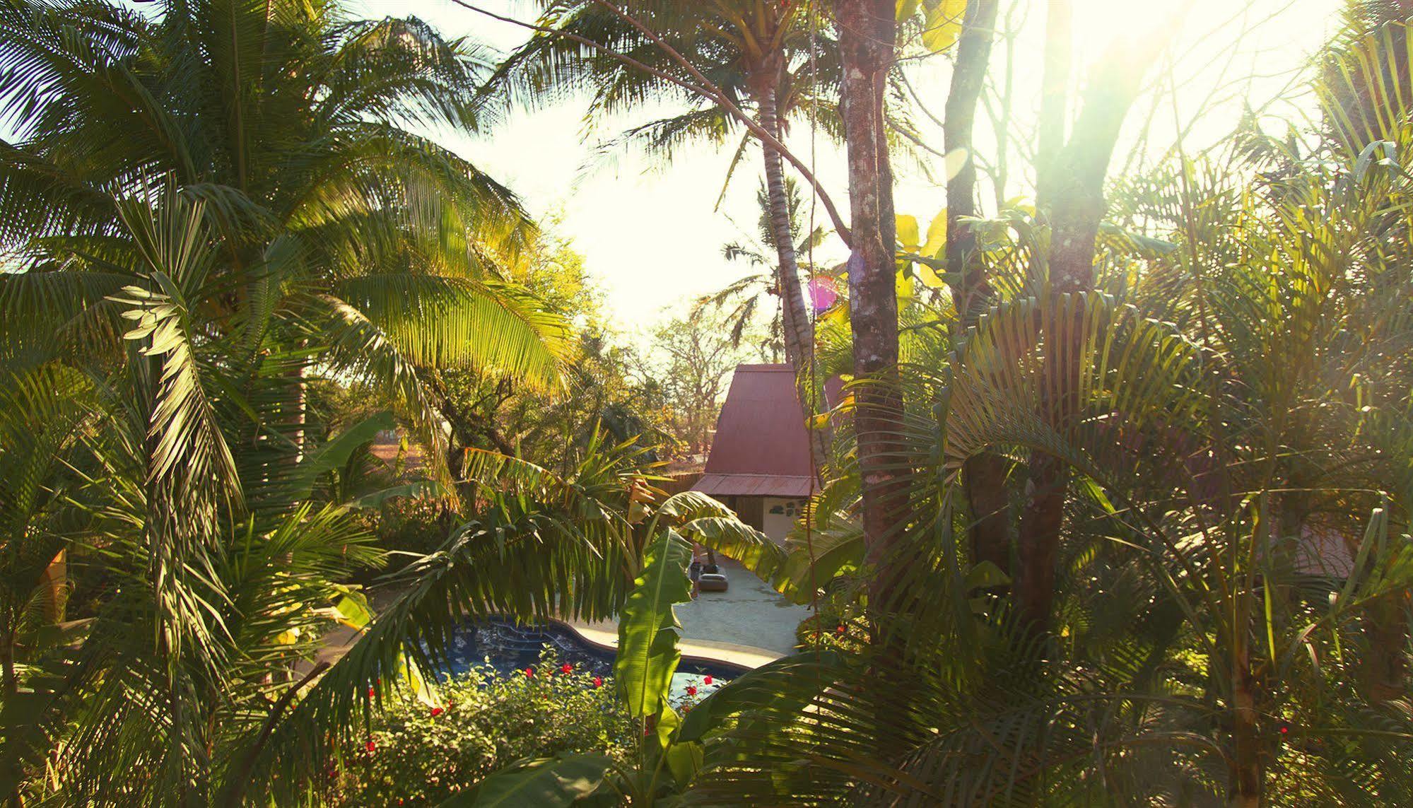 Hotel The Sunset Shack Nosara Zewnętrze zdjęcie